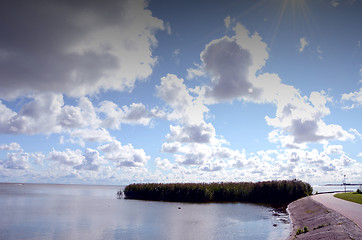 Image showing Lake bay fragment near road. Reed and water birds. 