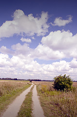 Image showing Gravel road between meadows. 
