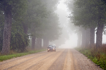 Image showing Machine in fog submerged gravel tree avenue. 