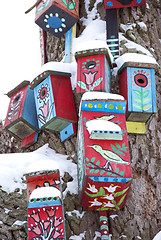 Image showing decor bird houses nesting-box snowy tree winter 