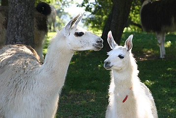 Image showing mum with a daughter