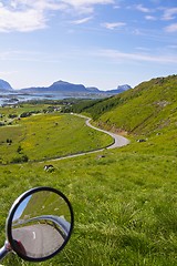 Image showing Green Lofoten