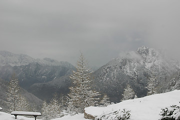 Image showing May in the Alpes
