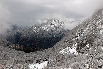 Image showing May in the Alpes