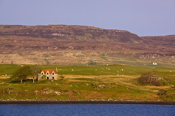 Image showing Pastures on Isle of Skye