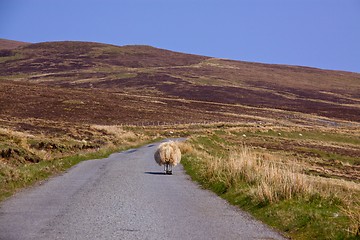 Image showing Road on Isle of Skye