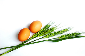 Image showing Green wheat ears and eggs