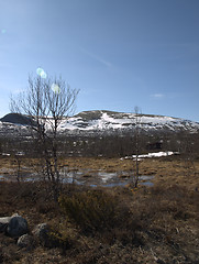 Image showing Landscape sør trøndelag