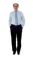 Image showing Full shot of a matured businessman