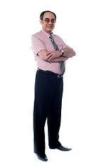 Image showing Full length view of senior business executive