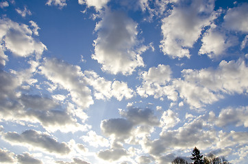 Image showing background of spring sky sunlit sun and tree top 