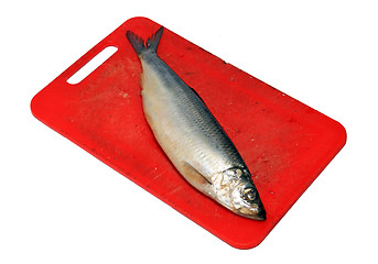 Image showing salty herring on white background