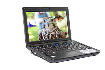 Image showing modern netbook on white background