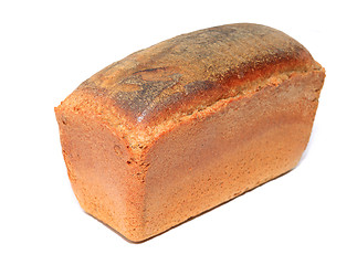 Image showing brown bread on white background
