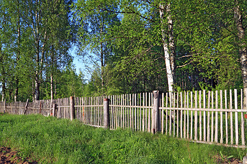 Image showing old wooden fence amongst herbs 