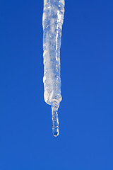 Image showing blanching icicle on turn blue background