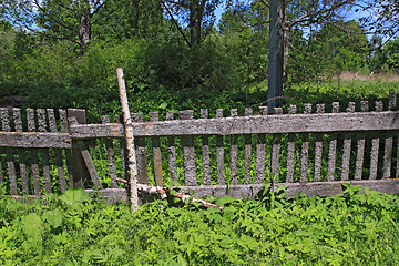 Image showing old fence in green herb 