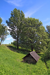 Image showing wooden house in green wood