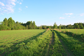 Image showing rural road near green field