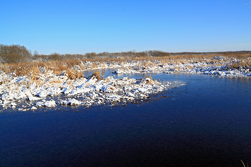 Image showing autumn ice on freeze marsh