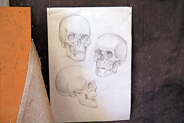 Image showing skull drawing on grunge background