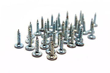 Image showing steel screws on white background