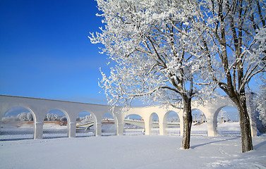 Image showing snow tree near ancient wall