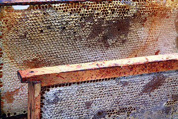 Image showing honeycomb