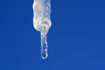 Image showing blanching icicle on turn blue background