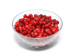 Image showing cranberry in plate on white background