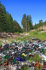 Image showing garbage pit in pine wood