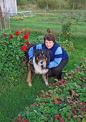 Image showing woman with dog amongst flowerses