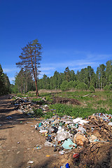 Image showing garbage pit in pine wood