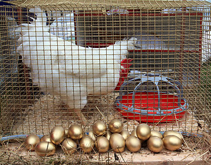 Image showing hen in hutch on rural market