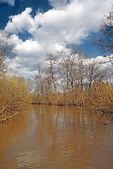 Image showing white cloud on brown river