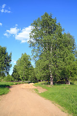 Image showing rural road amongst green tree