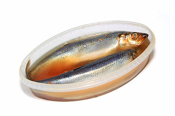 Image showing salty herring on white background