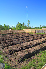 Image showing rural vegetable garden