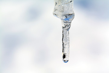 Image showing transparent icicle on white background