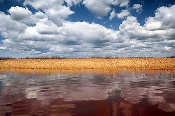 Image showing dry reed on deep lake