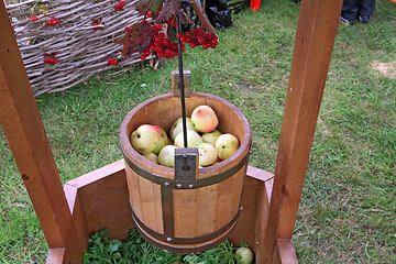 Image showing apple in pail on rural market