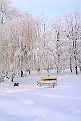 Image showing aging bench in town park