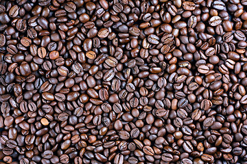 Image showing Roasted coffee beans