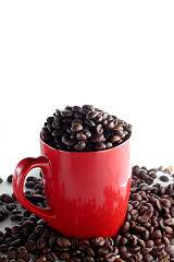 Image showing Cup with coffee beans