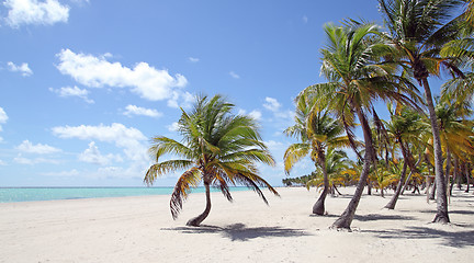 Image showing tropical beach