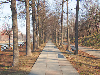 Image showing Path among trees