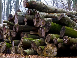 Image showing A heap of trunks