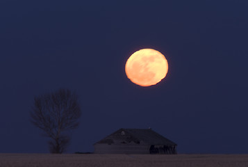 Image showing Night Shot Saskatchewan Canada