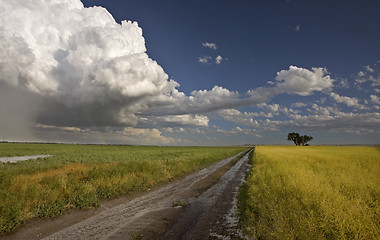 Image showing Prairie Hail Storm and Rainbow