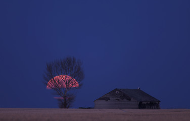 Image showing Night Shot Saskatchewan Canada